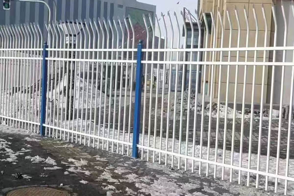 �Fˇ�o�ڇ���